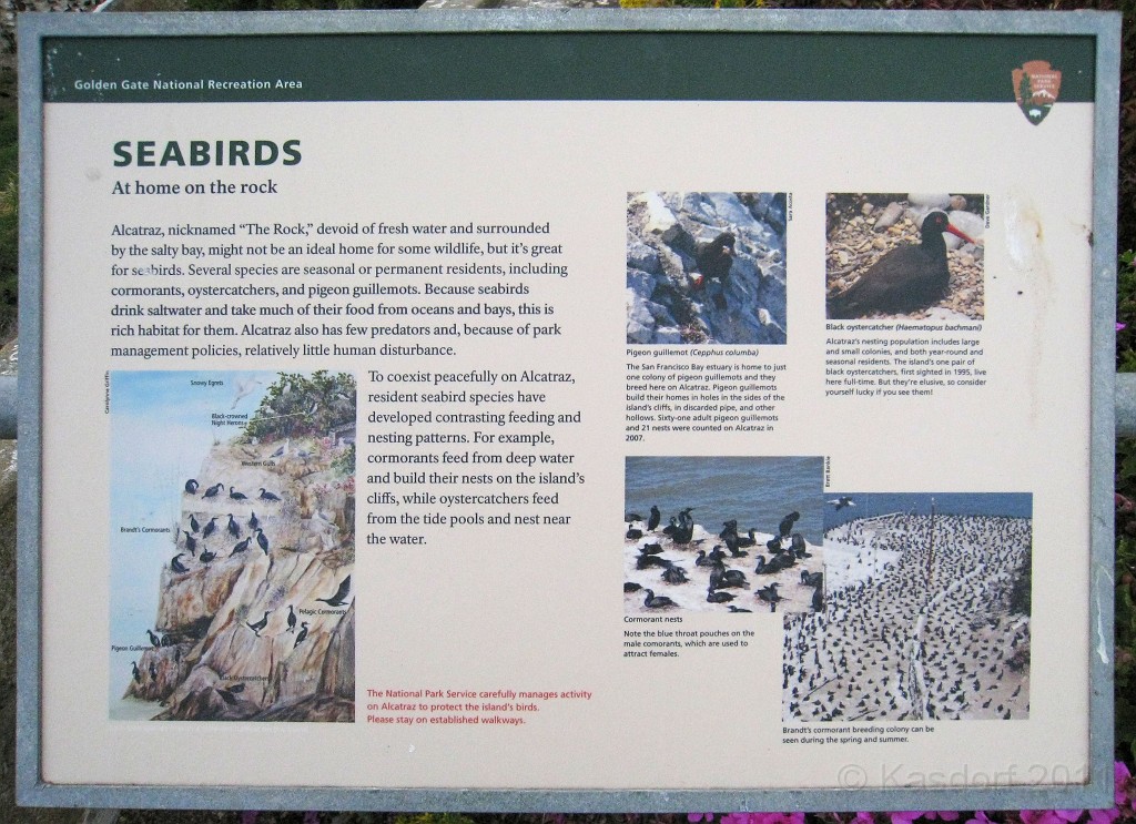 2011 Bay 2 Breakers Saturday 0751.JPG - I was able to participate in the 2011, 100th anniversary of the San Francisco Bay to Breakers 12K race. A great weekend for sight seeing and racing.